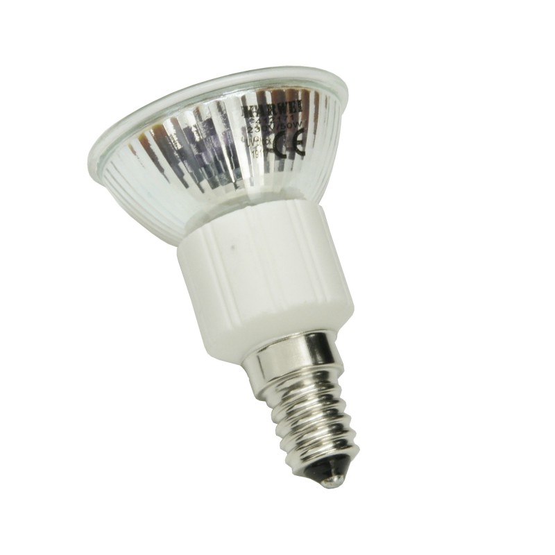 Verlichting Voorkomen platform Ledlamp spot 1 watt 15 leds E14 16 lumen Cool White